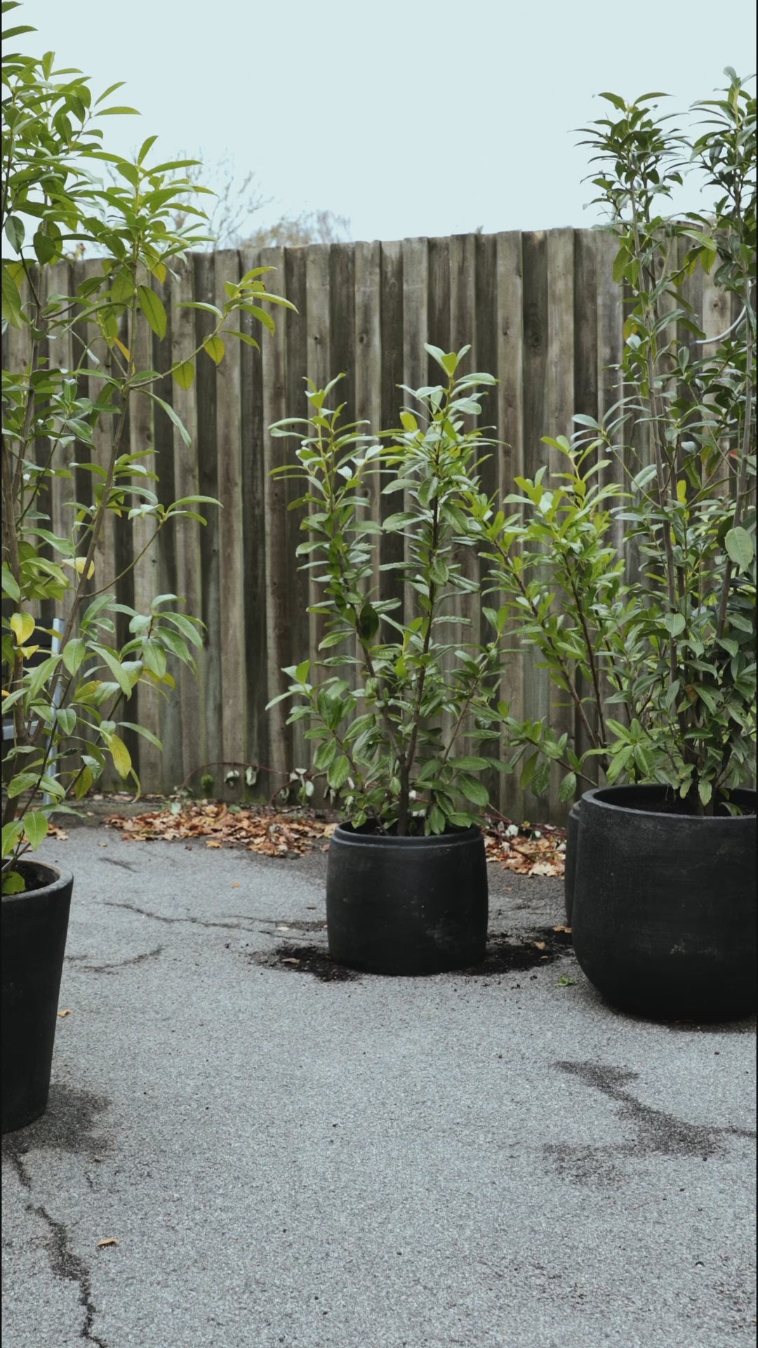 HENRIETTE STEFFENSEN COPENHAGEN SAUNA HUT DOUBLE - 4104 L & S ACCESSORIES SOFT BLACK 914